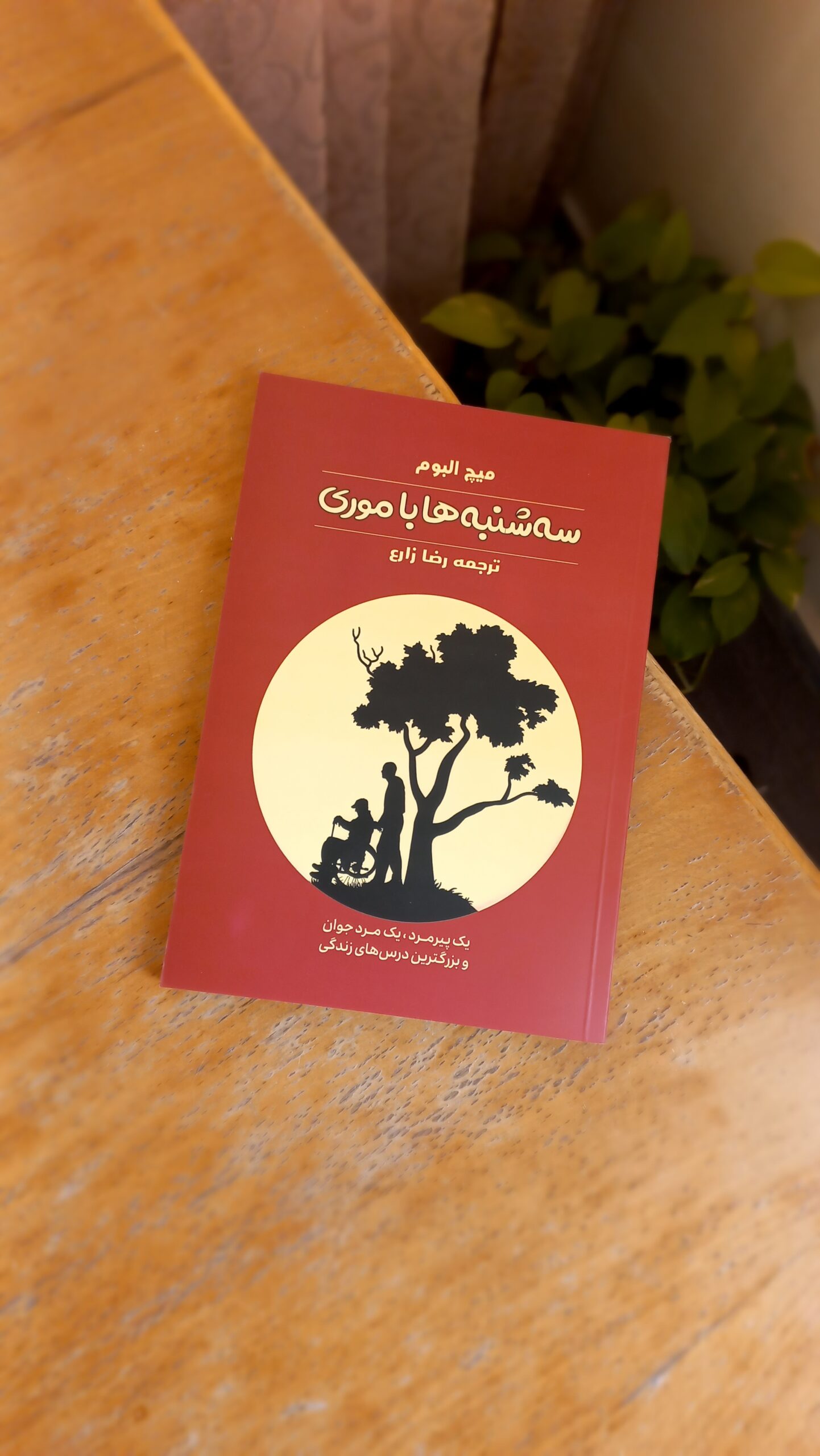 سه شنبه ها با موری