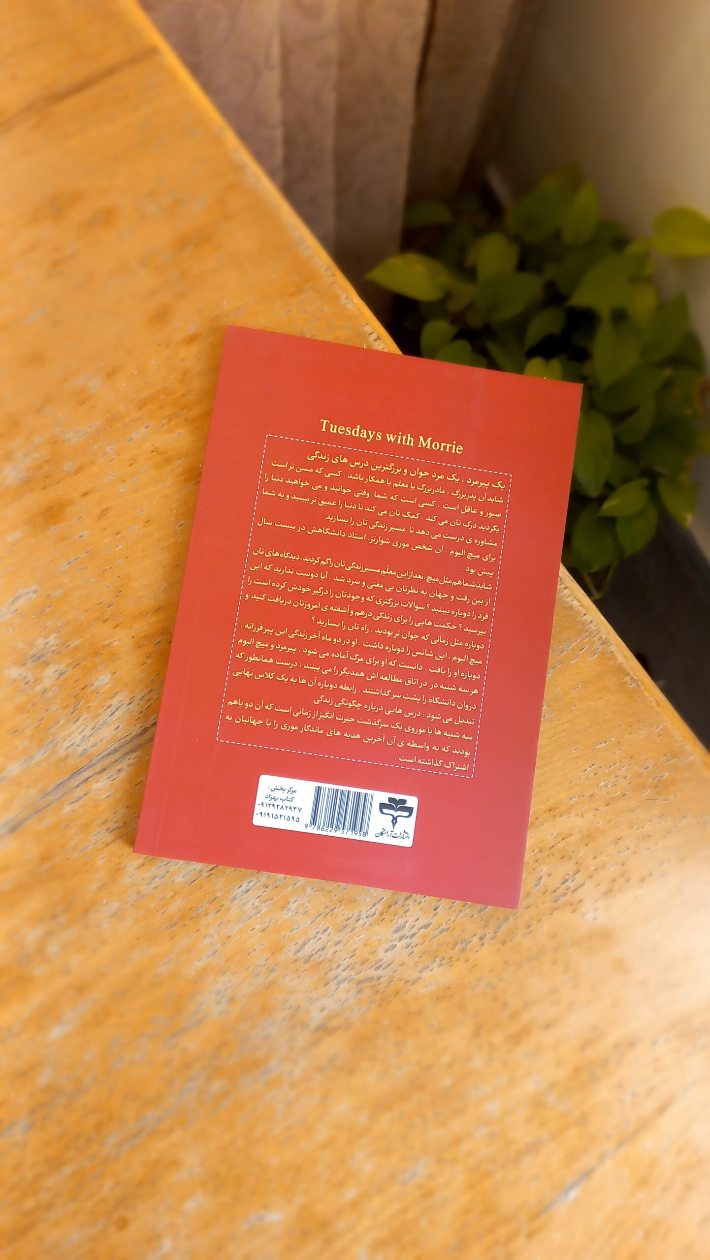 سه شنبه ها با موری