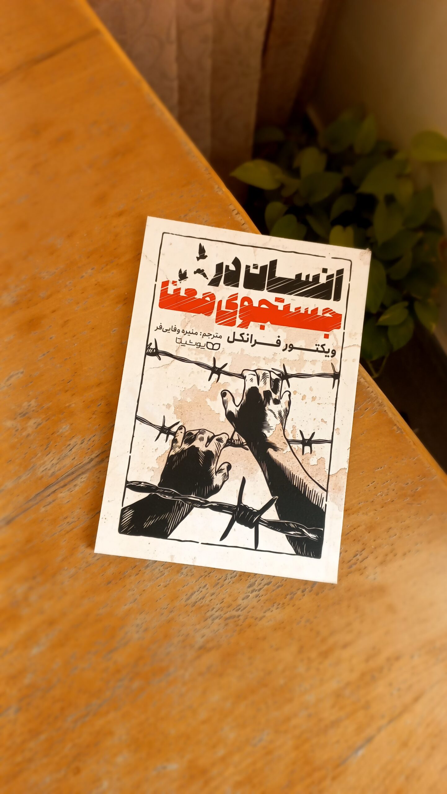 انسان در جستجوی معنا