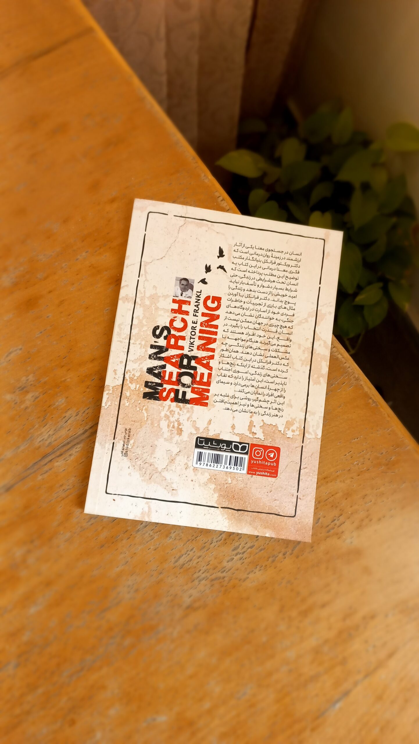 انسان در جستجوی معنا