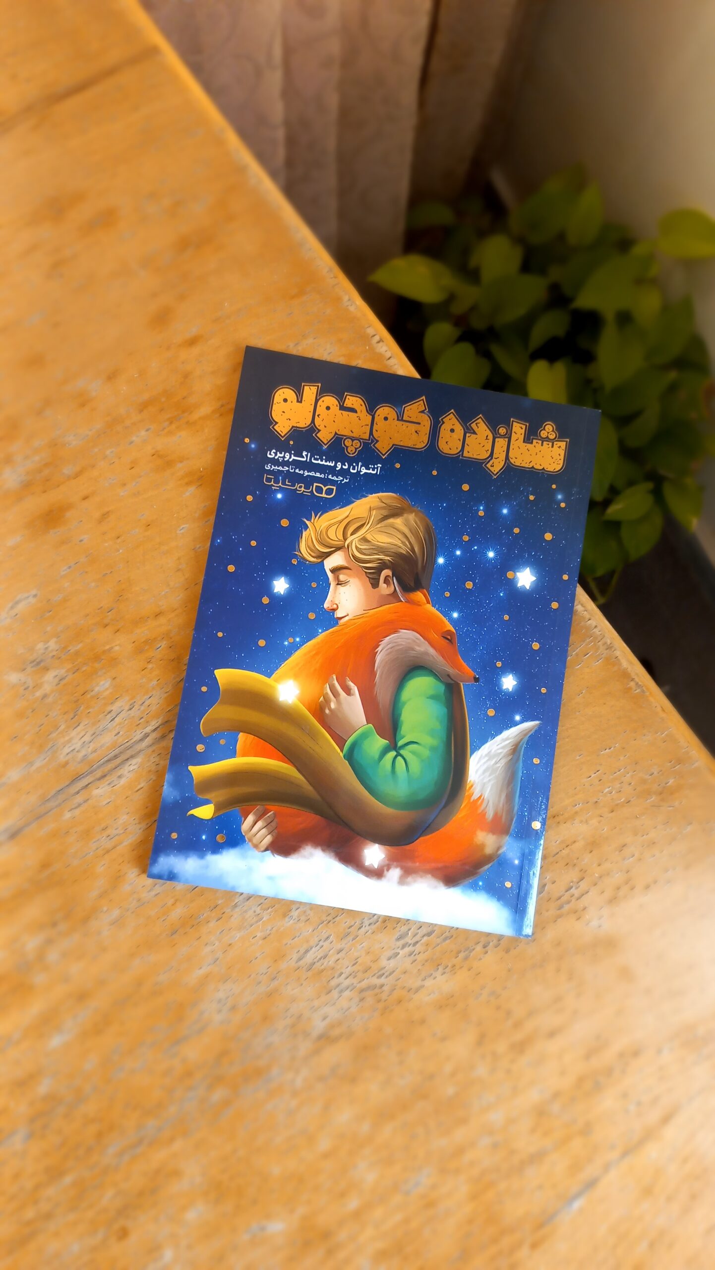 شازده کوچولو