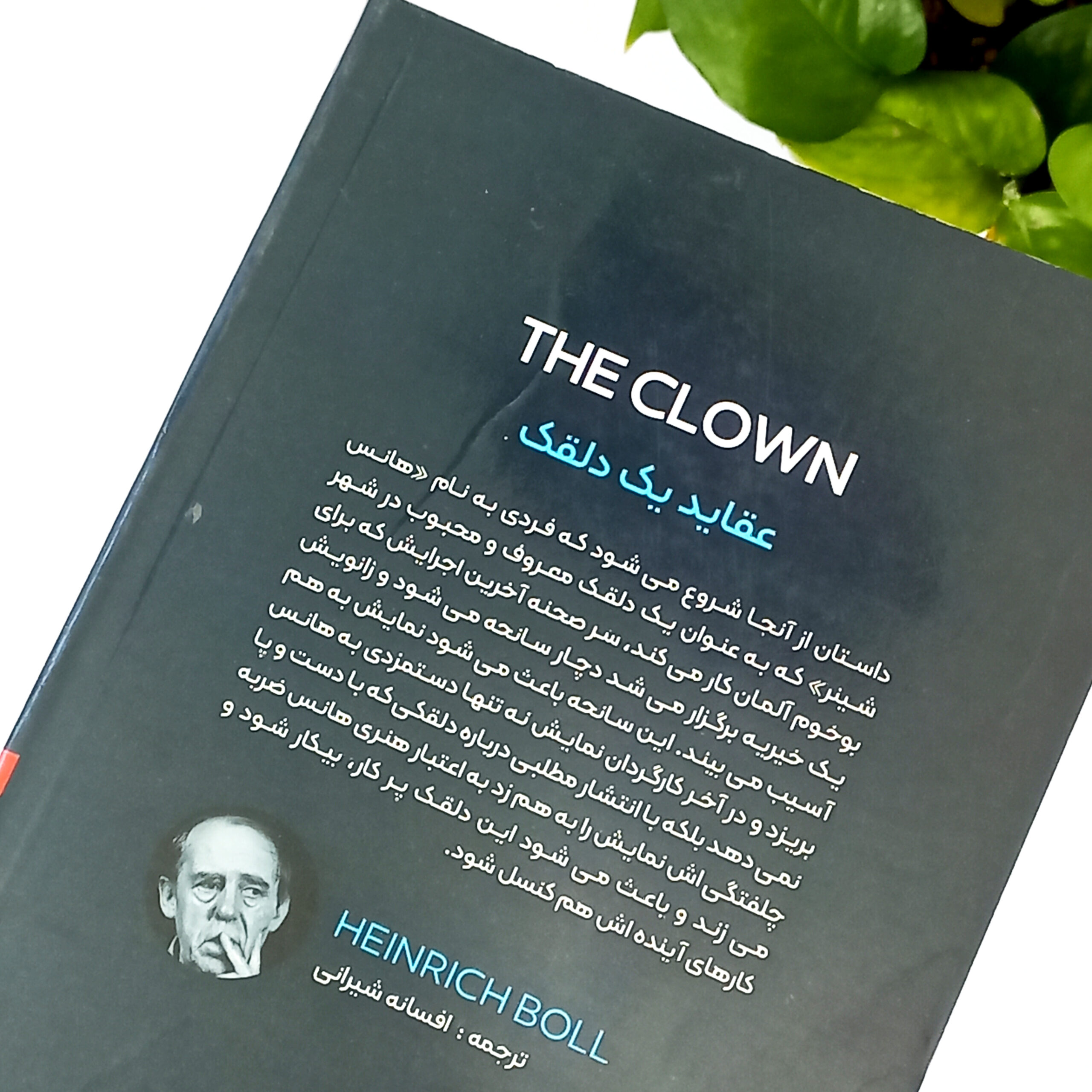 عقاید یک دلقک