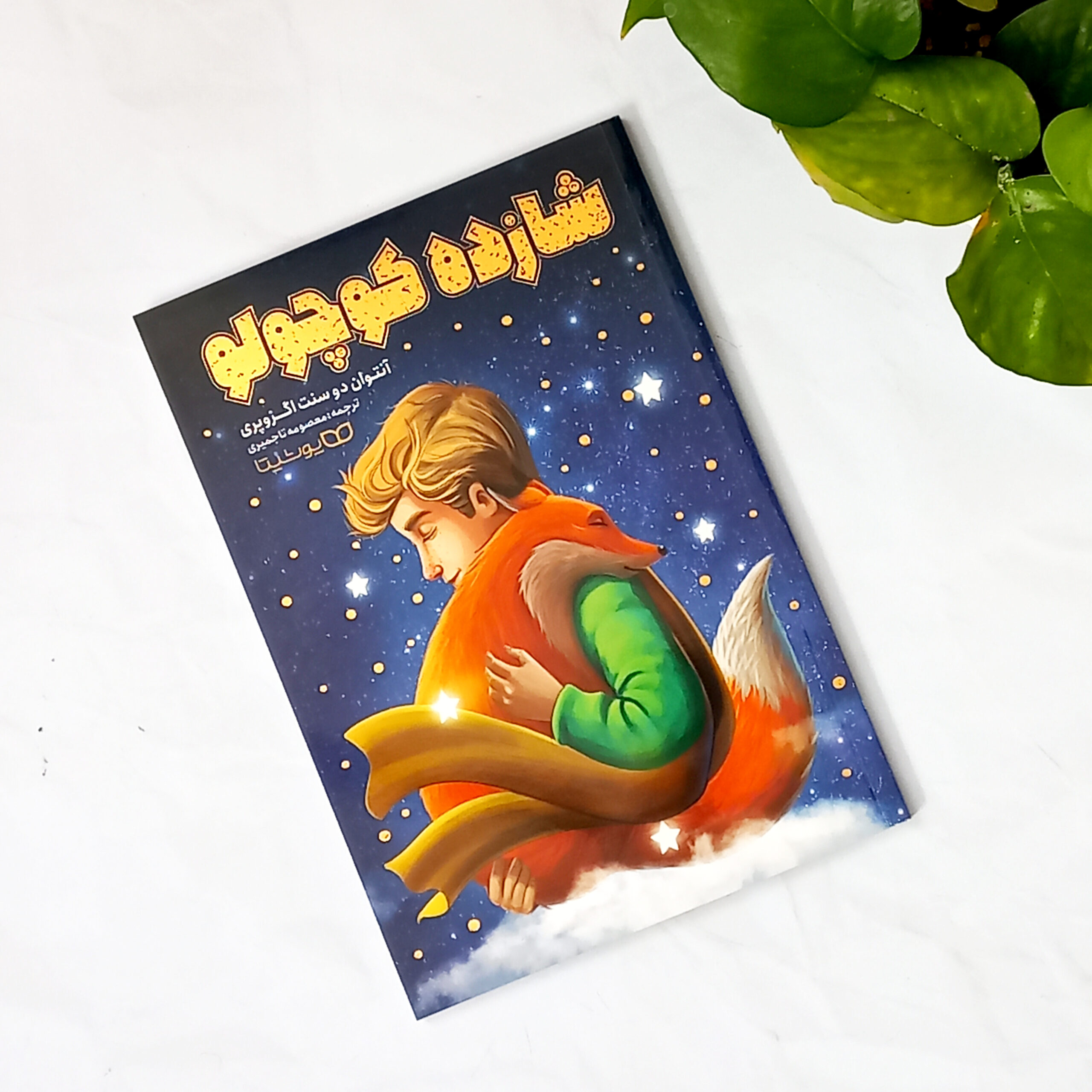 شازده کوچولو